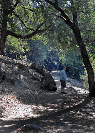 shDSC_5863b_edited-1