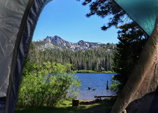 shComposite3_edited-1