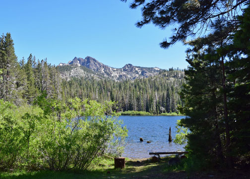 shDSC_8155b_edited-1